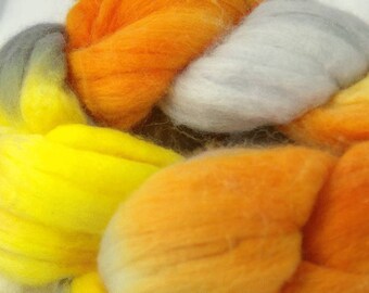 Merino Combed Top, Road Runner, 4oz