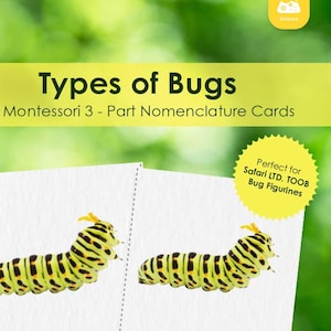 3-delige Montessori-kaarten met bugs: een prachtig leermiddel voor woordenschat!