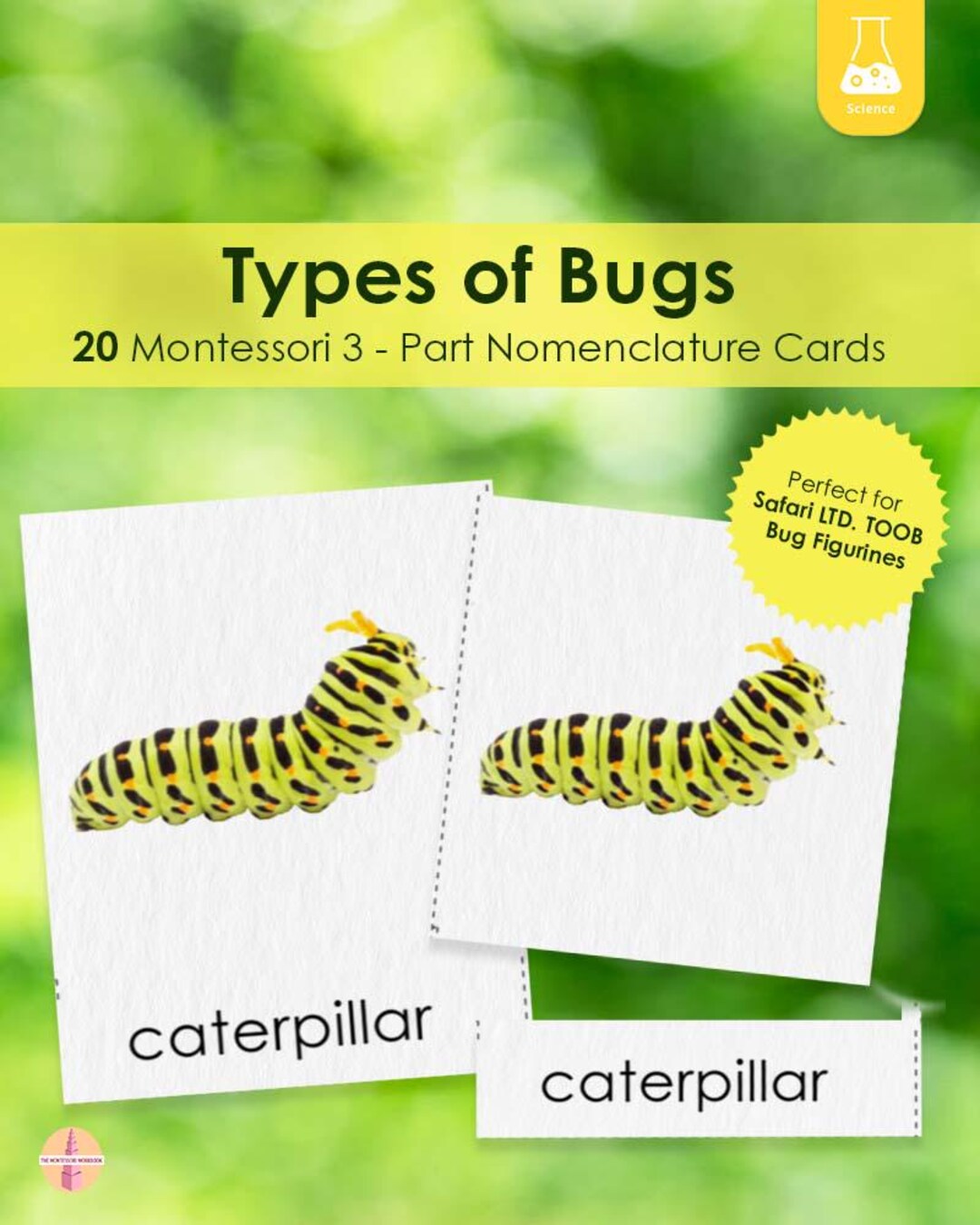 Montessori Bugs 3-part Cards: Vocabulary Learning Tool - Etsy