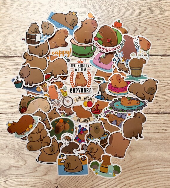 24 Sheets Of Cute Capybara Stickers (344 PCS Total) – Waterproof Vinyl Decals For Laptops, Water Bottles, Kids & Adults