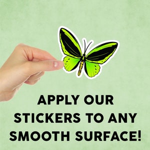 May include: A hand holds up a green and black butterfly sticker. The text below reads "Apply our stickers to any smooth surface!"