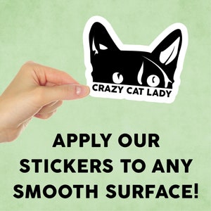 Crazy Cat Lady Sticker Decal: Mini Vinyl Sticker for Laptop, Tumbler