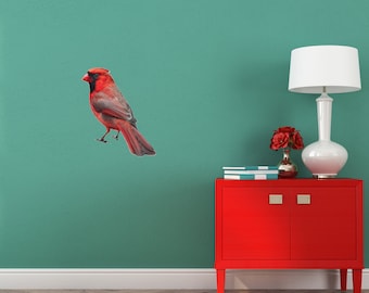 Cardinal Bird Decal, Full Color Real Life Cardinal Sticker for Wall or Sign, Indoor/Outdoor, Select Your Size