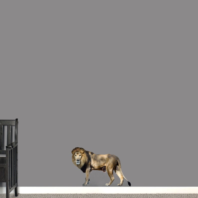 Real Life Lion Wall Decal Kid/'s Room Man Cave Classroom School Mascot Animal Safari Removable Wall Art Vinyl Wall Decal