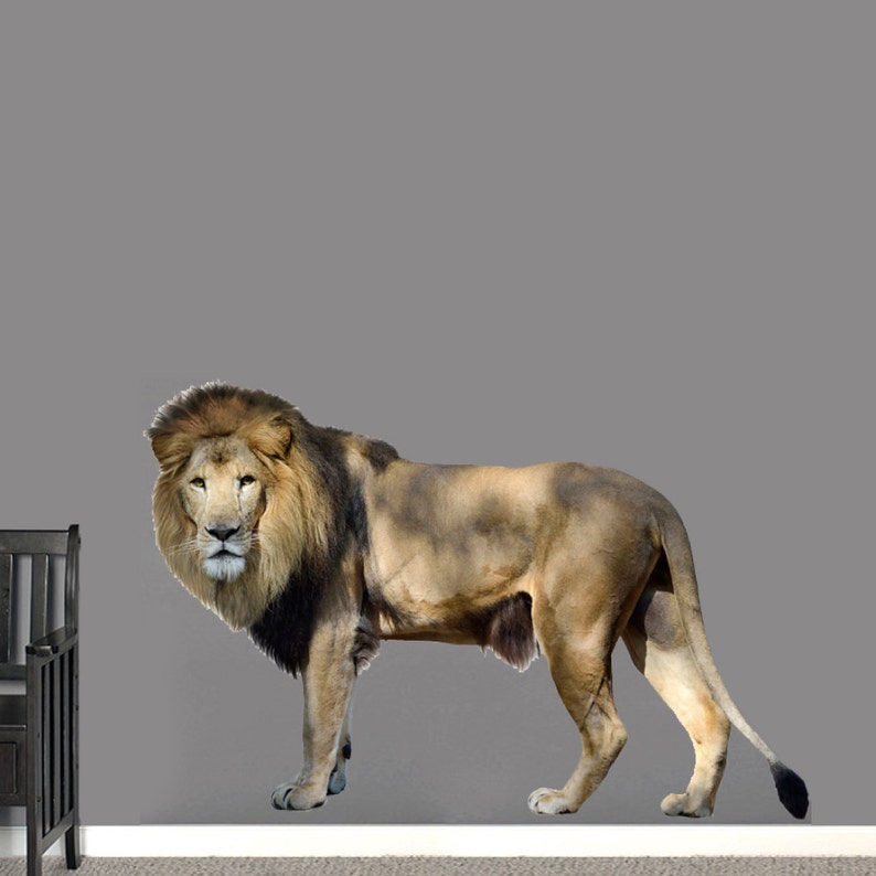 Real Life Lion Wall Decal Kid/'s Room Man Cave Classroom School Mascot Animal Safari Removable Wall Art Vinyl Wall Decal