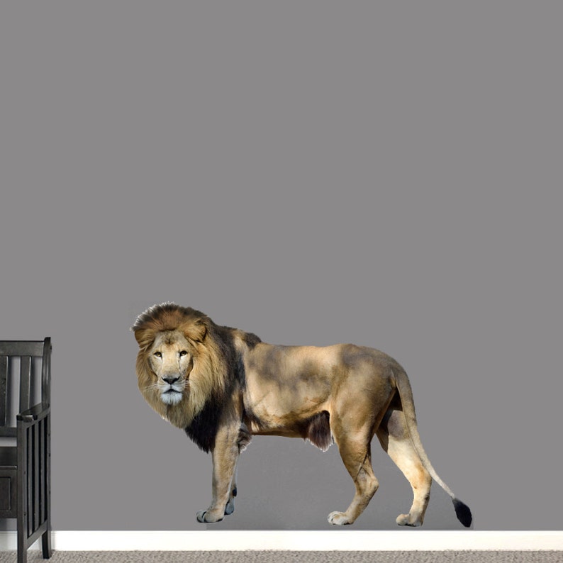 Real Life Lion Wall Decal Kid/'s Room Man Cave Classroom School Mascot Animal Safari Removable Wall Art Vinyl Wall Decal