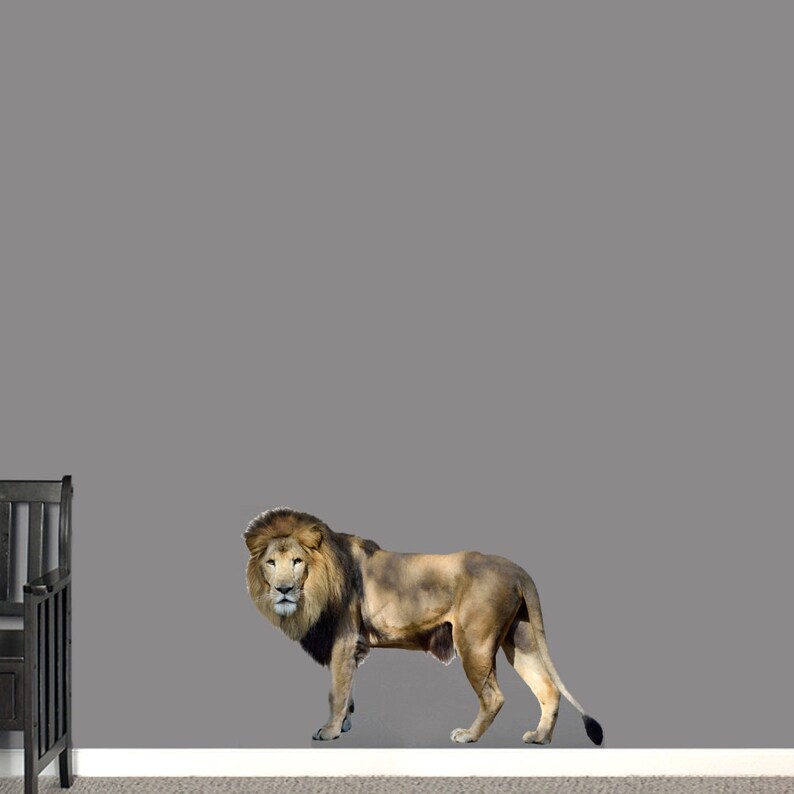 Real Life Lion Wall Decal Kid/'s Room Man Cave Classroom School Mascot Animal Safari Removable Wall Art Vinyl Wall Decal