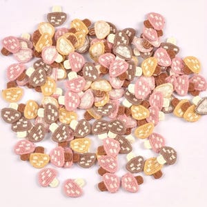May include: A pile of small, fabric mushroom-shaped embellishments in various colours. The mushrooms have white, pink, brown, and yellow caps with white and brown chequered patterns. The stems are brown and the background is white.