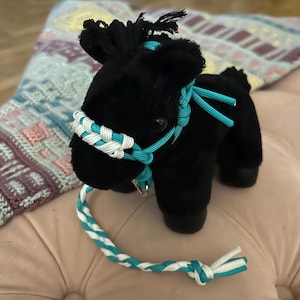 May include: A plush black horse toy with a turquoise and white braided halter and reins. The toy has a black mane and tail. The horse is standing on a pink surface.