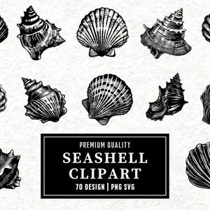 Seashell SVG Bundle | Shell Clipart | Ocean Seashell Vector Designs | Beach Silhouette | Coastal PNG SVG | Cut Files | Instant Download