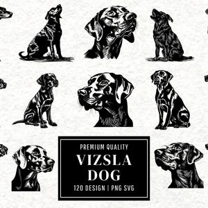 Vizsla SVG Bundle | Vizsla Clipart | Hunting Dog Vector Designs | Pet Silhouette | Sporting Dog PNG SVG | Cut Files | Instant Download