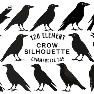 SVG-bundel kraai | Clipart kraai | Vogelvectorontwerpen | Donker silhouet | Gotische png-SVG | Raven Crow gesneden bestanden | Direct downloaden