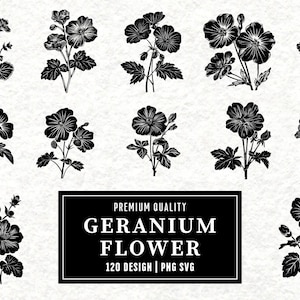 Geranium Flower SVG Bundle | Geranium Clipart | Botanical Flower Vector Designs | Garden Silhouette | PNG SVG | Cut Files | Instant Download