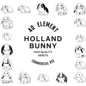 Holland Bunny SVG Bundle | Holland Lop Bunny Designs | Bunny Clipart ...