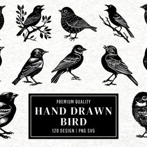 Bird SVG Bundle | Bird Clipart | Flying Bird Vector Designs | Wildlife Silhouette | Nature PNG SVG | Bird Cut Files | Instant Download