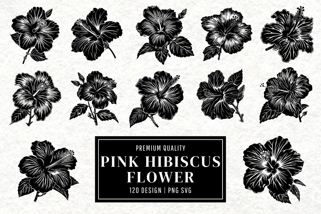 Hibiscus Flower SVG Bundle: Tropical Floral Clipart, PNG Cut Files ...