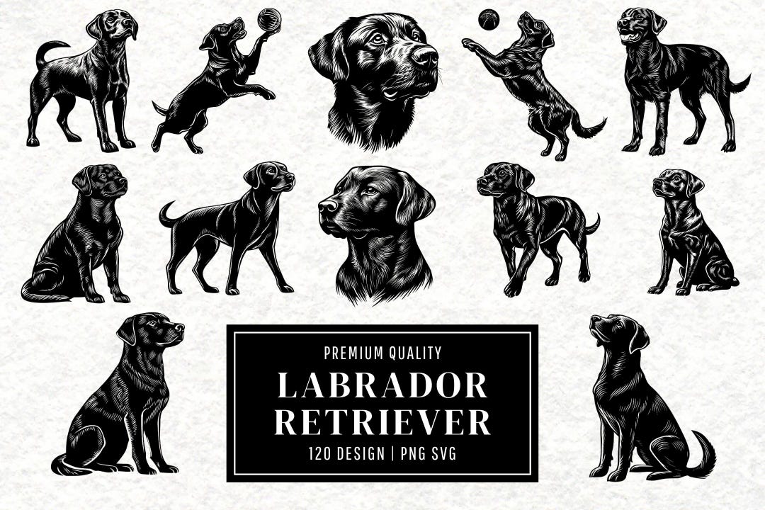 Labrador Retriever SVG Bundle | Dog Clipart | Labrador Vector Designs ...