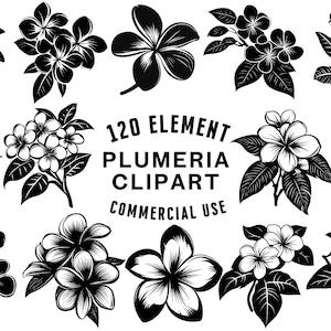 Plumeria SVG Bundle | Plumeria Clipart | Tropical Flower Vector Designs | Floral Silhouette | Frangipani PNG Cut Files | Instant Download