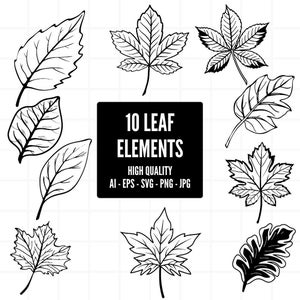 Paquete de hojas SVG / Hoja PNG / Vector de hojas de la naturaleza / Imágenes prediseñadas de hojas para tazas, ropa, etc. / Archivos Svg de silueta de hojas / Png Ai Jpg Eps