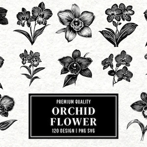 Orchid Flower SVG Bundle | Orchid Clipart | Floral Vector Designs | Elegant Flower Silhouette | Botanical PNG Cut Files | Instant Download