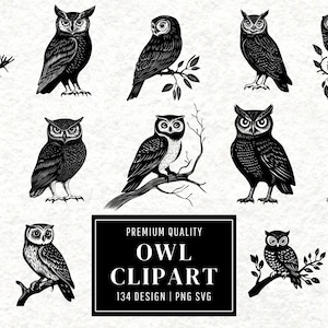 Owl SVG Bundle | Owl Clipart | Bird of Prey Vector Designs | Nocturnal Animal Silhouette | Wildlife PNG SVG | Cut Files | Instant Download