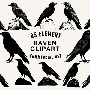 Raven SVG Bundle | Raven Clipart | Bird Vector Designs | Crow Silhouette | Gothic PNG SVG | Raven Cut Files | Instant Download