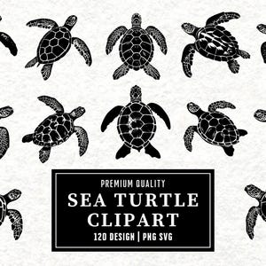 Sea Turtle SVG Bundle | Ocean Turtle Clipart | Marine Animal Vector Designs | Underwater Silhouette | PNG SVG | Cut Files | Instant Download