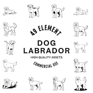 Labrador Dog SVG Bundle | Labrador Dog Designs | Labrador Clipart | Dog Breed Vector | Labrador Dog Svg Files | Png SVG | Cricut Cut Files