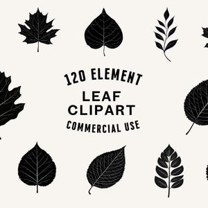 Leaf SVG Bundle | Leaf Clipart | Botanical Vector Designs | Nature Silhouette | Foliage PNG SVG | Leaf Cut Files | Instant Download