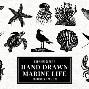 Marine Life SVG Bundle | Ocean Animal Clipart | Sea Creature Vector Designs | Underwater Silhouette PNG Cut Files | Instant Download