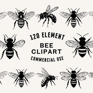 Bee SVG Bundle | Bee Clipart | Honeybee Vector Designs | Insect Silhouette | Nature PNG SVG | Bee Cut Files | Instant Download