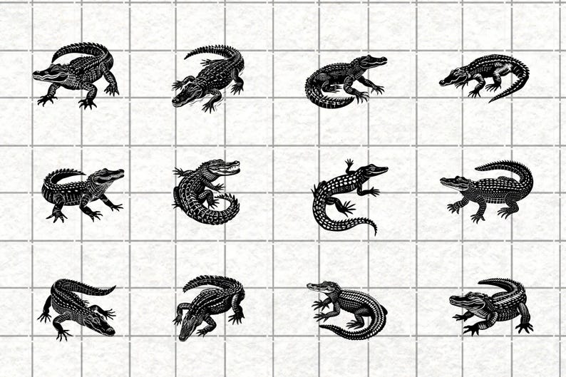 Alligator SVG Bundle: Reptile Clipart, Swamp Animal Vector (PNG, SVG ...
