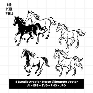 Zestaw koni arabskich SVG | Konie PNG | Zwierzęta Wektor Edytowalny Kolor | Clipart Do Kubków, Ubrań | Arabowie Pliki SVG | Png Ai Jpg Eps