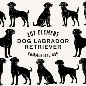 Labrador Retriever SVG Bundle | Labrador Clipart | Dog Vector Designs | Pet Silhouette | Labrador PNG SVG | Cut Files | Instant Download