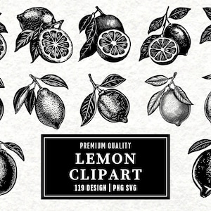 Lemon SVG | Citrus Fruit Clipart | Fresh Lemon Slice | Summer Fruit Design | Linocut Lemon PNG SVG | Cut File for Cricut Silhouette