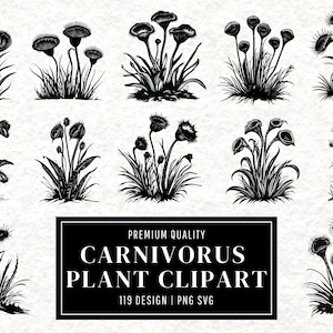Carnivorous Plant SVG Bundle | Venus Flytrap Clipart | Botanical Vector Design | Exotic Silhouette | Nature PNG Cut Files | Instant Download