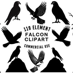Falcon SVG Bundle | Falcon Clipart | Bird of Prey Vector Designs | Raptor Silhouette | Wildlife PNG SVG | Falcon Cut File | Instant Download