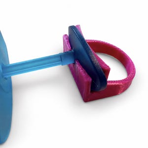 Evolysse aspiration ring in magenta silk