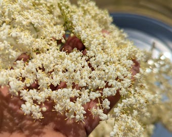 Organic Dried Elderberry Flowers: New Hampshire Grown, Tea & Infusions