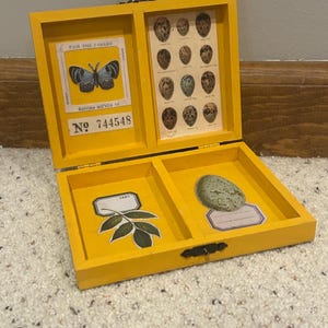Op de afbeelding: Een gele houten doos met een scharnierend deksel. De doos is open en bevat een klein vogelnest, een blad en een kaart met een vlinder en de tekst "FOR THE FINEST" en "No. 744548".