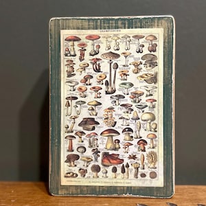 Plaque champignon rustique | Art mural botanique vintage ou décoration de table sur un bloc vert effet vieilli