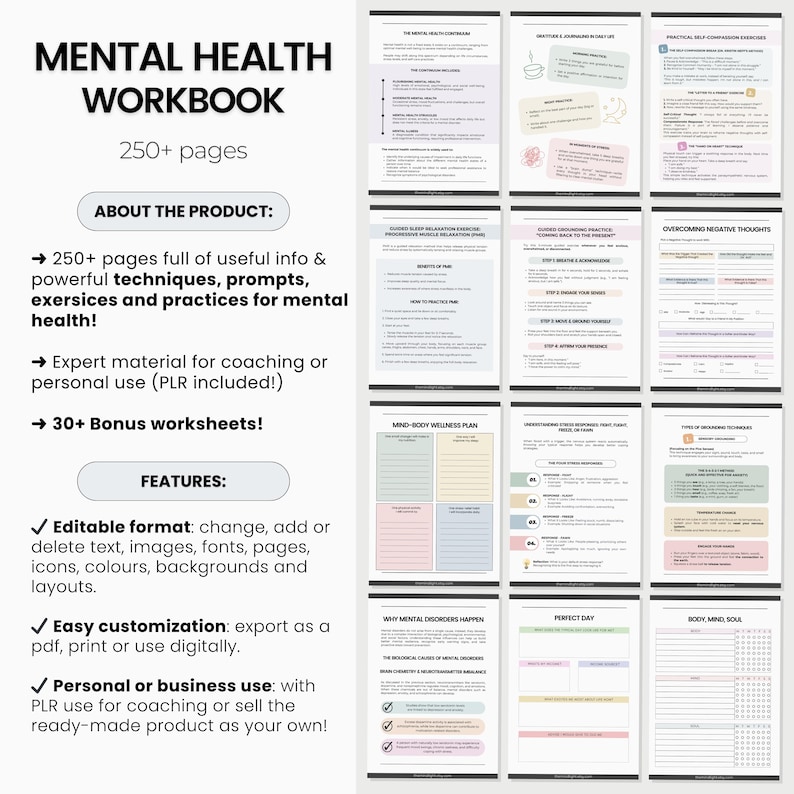 Mental Health Workbook PLR, Editable Coaching Tools Canva Templates Mental Health Guided Worksheets for Coaches Therapist Resources Toolkit image 3