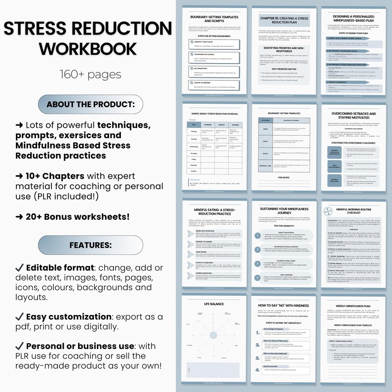 May include: A stress reduction workbook with over 160 pages. The cover displays the title and key features, such as editable format and easy customisation. Inside are templates, worksheets, and chapters on mindfulness and stress management.