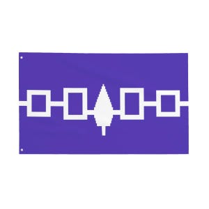 May include: A rectangular flag with a solid purple background. A white horizontal band with five white squares and a white tree-like symbol in the center. The flag has two grommets on the left side.