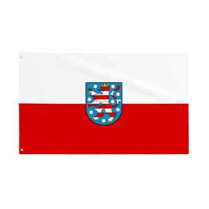 Może przedstawiać: Prostokątna flaga podzielona poziomo na dwie części, białą i czerwoną. Na środku niebieski herb z czerwonym lwem, koroną i niebieskimi gwiazdami.