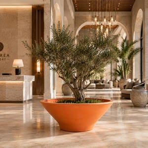 Grande vaso in terracotta, fioriera per ulivo realizzata a mano, 53 cm