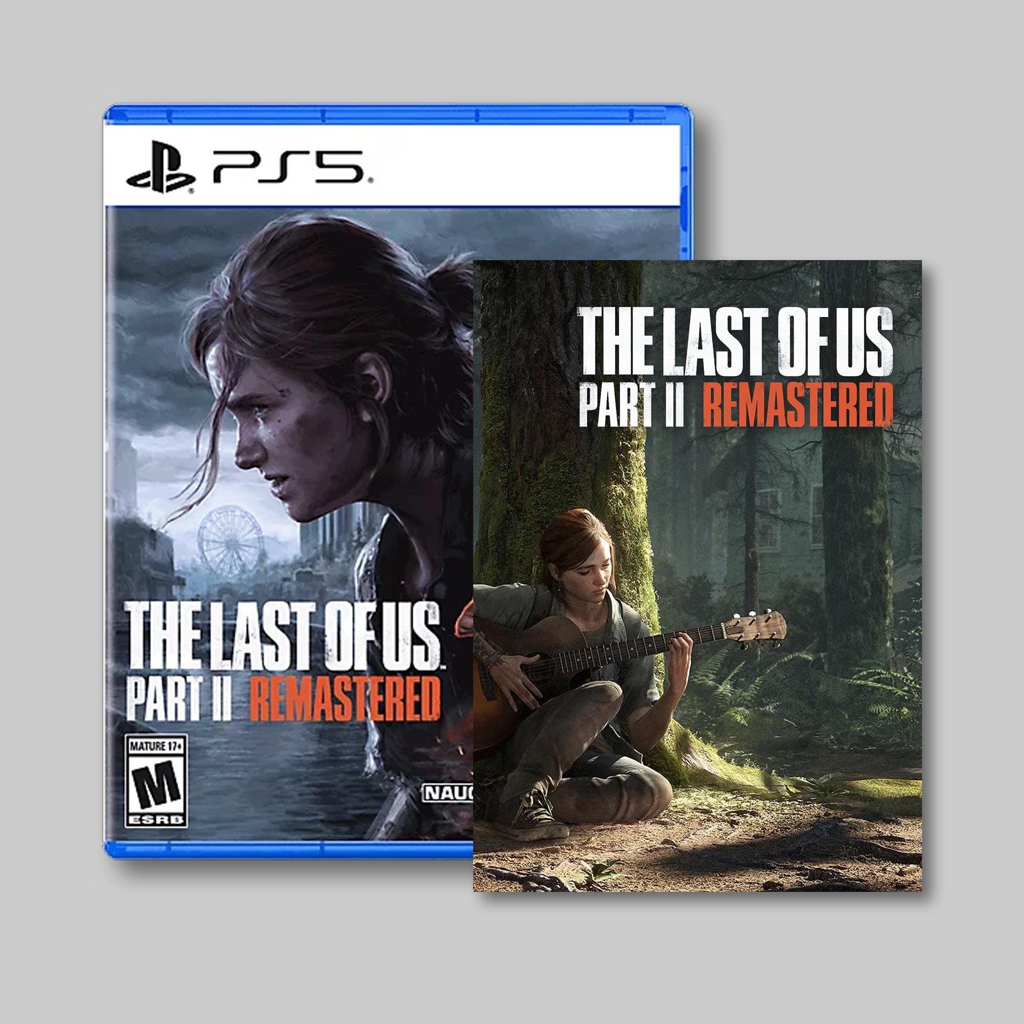 The Last of Us Steelbook - Etsy