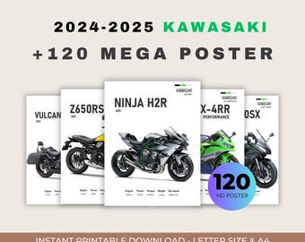 Kawasaki ZX-7R K1 24 X 36 Inch (2ft X 3ft) Art Print Signed by