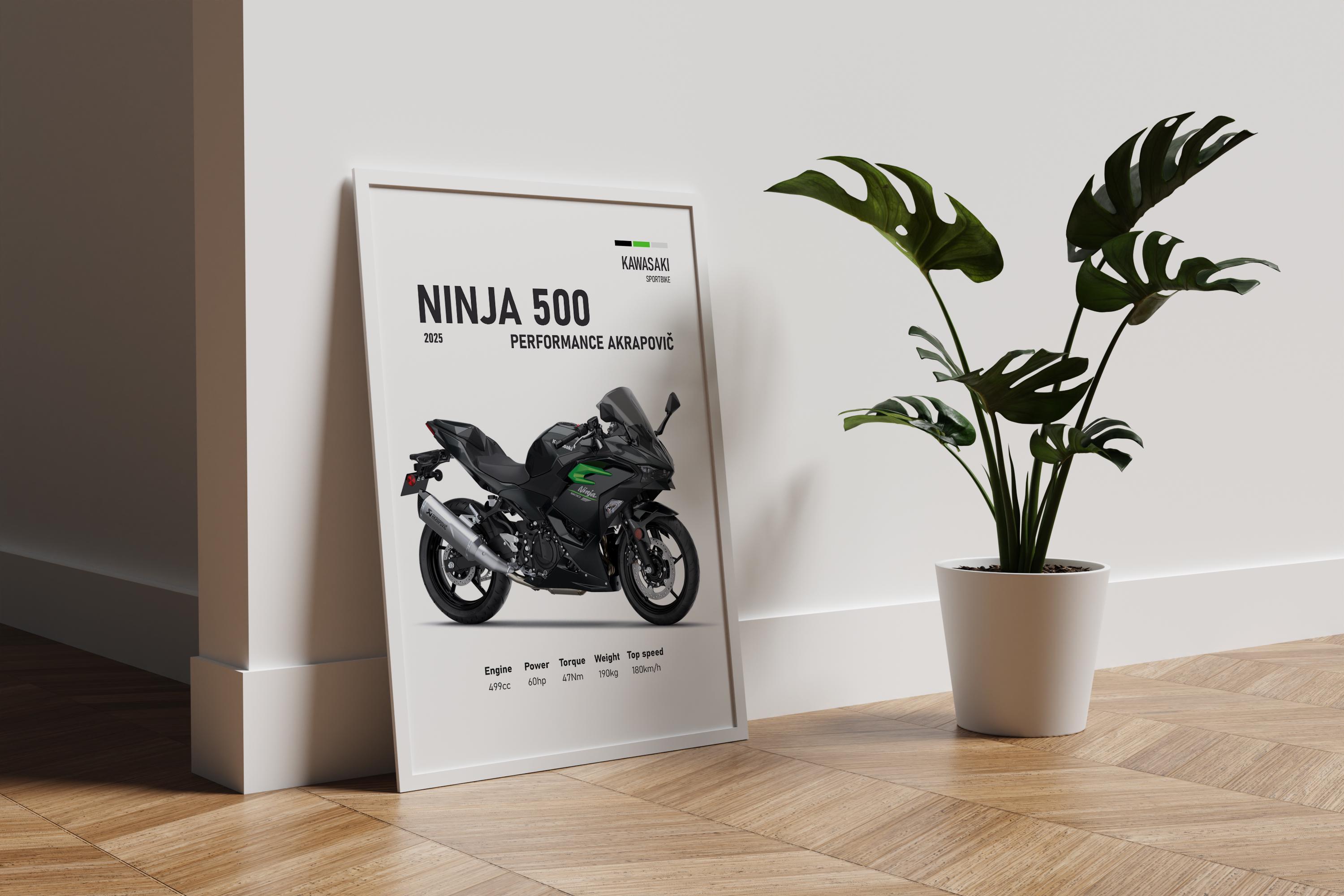 2025 Kawasaki Ninja 500 Poster | Digital Print for Sportbike Fans