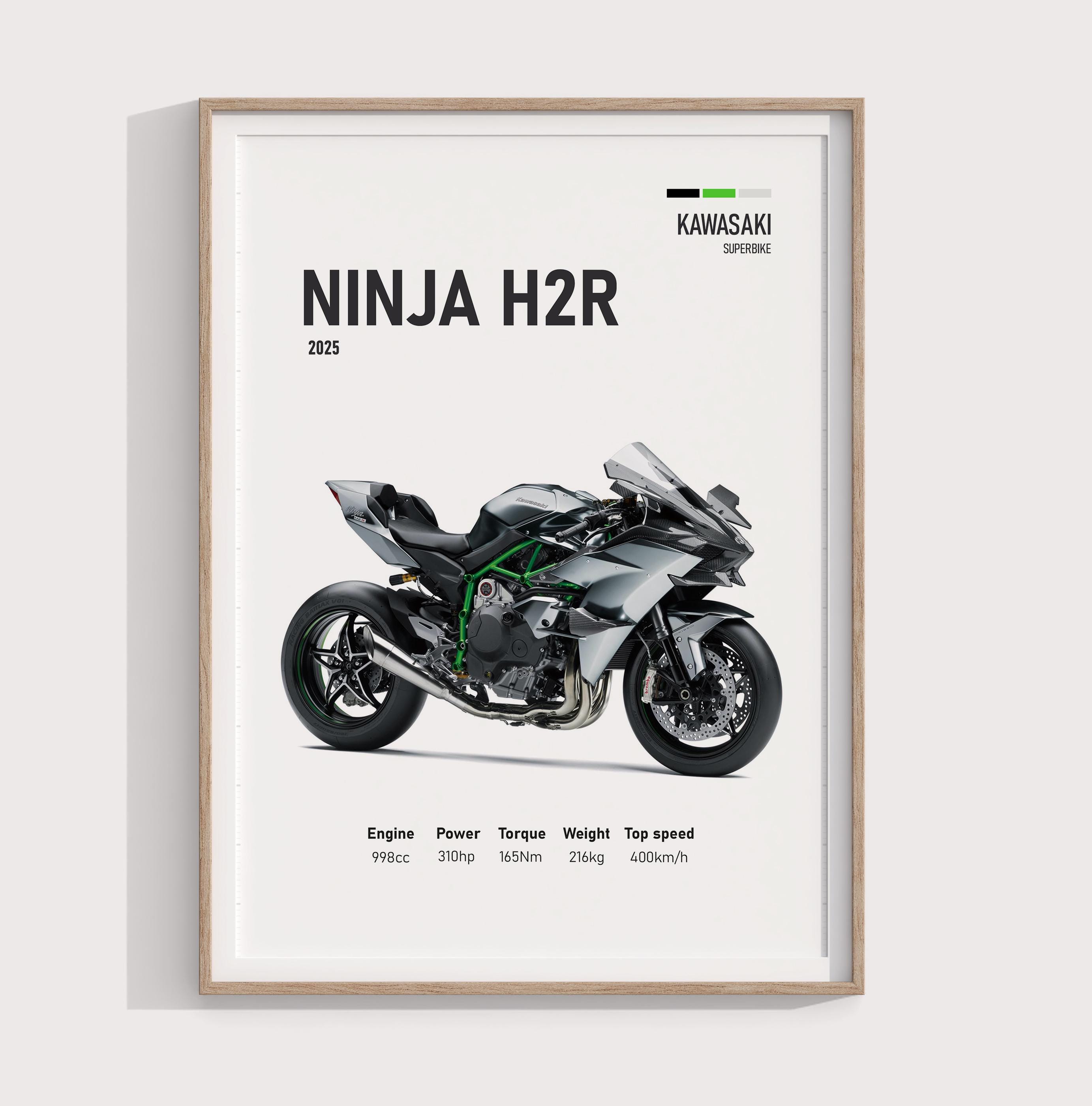 アート・写真 mz ポスター A1 サイズ (~A4まで対応可) 2025 カワサキ